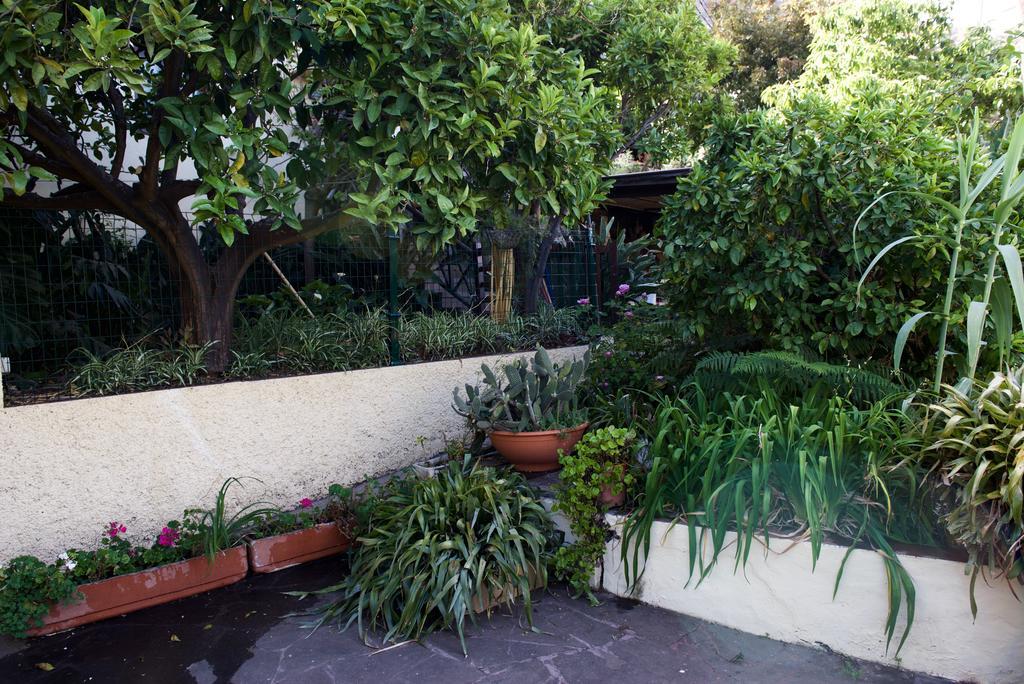 Casa Rural de Tío Félix Vega de San Mateo Exterior foto